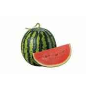 WATERMELON SEEDED