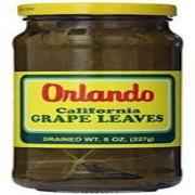 Orlando Grape Leaves