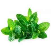 MINT BUNCH