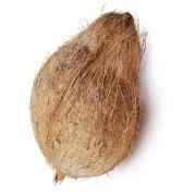 Coconut W/Chotli
