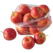 Gala Apple Bag