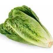 Lettuce Hearts Romaine  