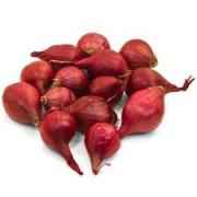 PEARL RED ONION