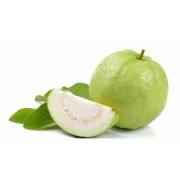 BABY GUAVA