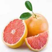 TORONJA GRAPEFRUIT