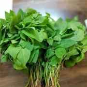 SAAG