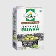 24 M Guava Bev