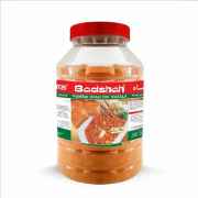 BADSHAH MUMBAI BHAJI PAV MSL