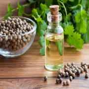 CORIANDERE OIL