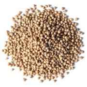 Org Coriander Powder