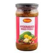 Hyderabadi Mixedpickle