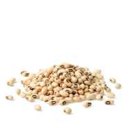 SUKHIANA BLACKEYE BEANS