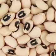 ORGANIC BLACK BEANS(