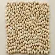 SU Organic Kabuli