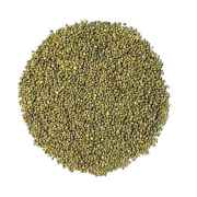 PEARL MILLET