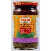 AHMED PICKLE