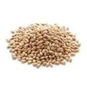 Whole Grain Proso Millet