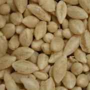 TASTE OF INDIA WHEAT MAMRA