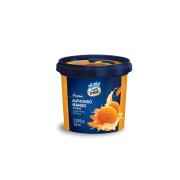 Vadilal Mango