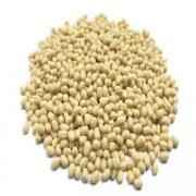 Urad Whole Gota