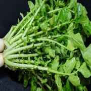 RADISH LEAVES IN BAG