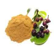 JAMUN POWDER