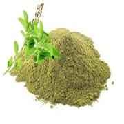 TULSI POWDER