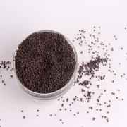 DR MUSTARD SEEDS