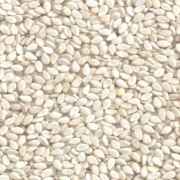 WHITE SESAMI SEEDS