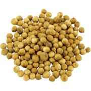 IMC Coriander Seed