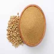 CNS Coriander Powder
