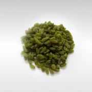 ISS Green Raisin