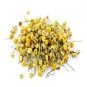 ISS Chamomile