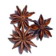 ISS Star Anise
