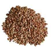 Desi Rasoi Horse Gram
