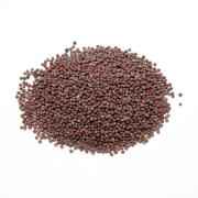 Mustard Seed