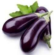 EGGPLANT