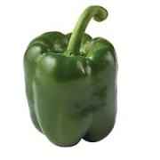 BELL PEPPER GREEN