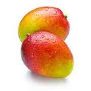 HADEN MANGO