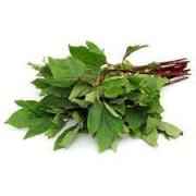 GONGURA LEAVES