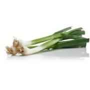 Green Garlic