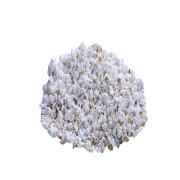DHANRAJ PUFFED RICE