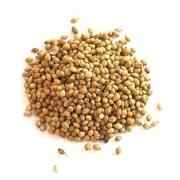VT Corrinader Seed