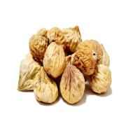 ALREEF FIG