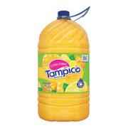 Tampica