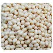 VT URAD GOTA
