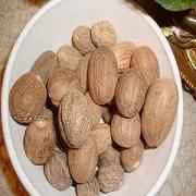 HB NUTMEG