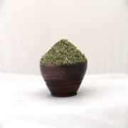 HANS FENEL SEED LUCK