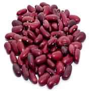 HANS RAJMA JAMMU