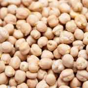SANTOS GARBANZO BEANS